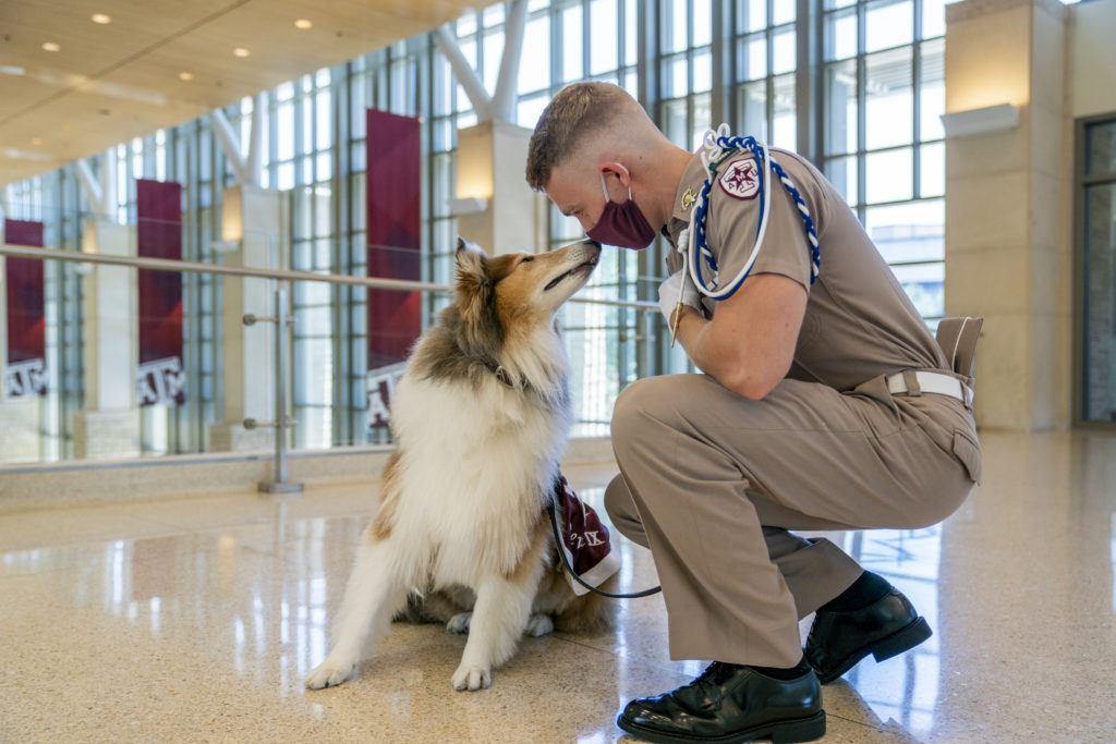 Reveille sits next to her handler who is wearing a maroon mask