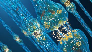artist's rendering of neurons