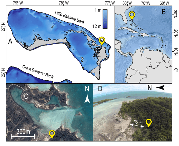 image of three maps showing where the bone was discovered