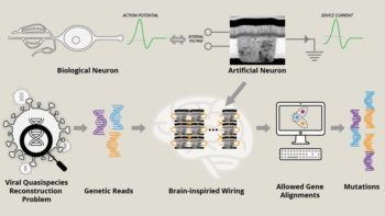 illustration of a network of neurons