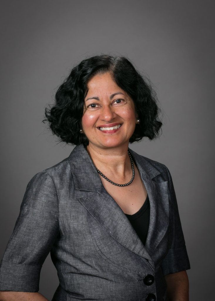 jyotsna vaid portrait
