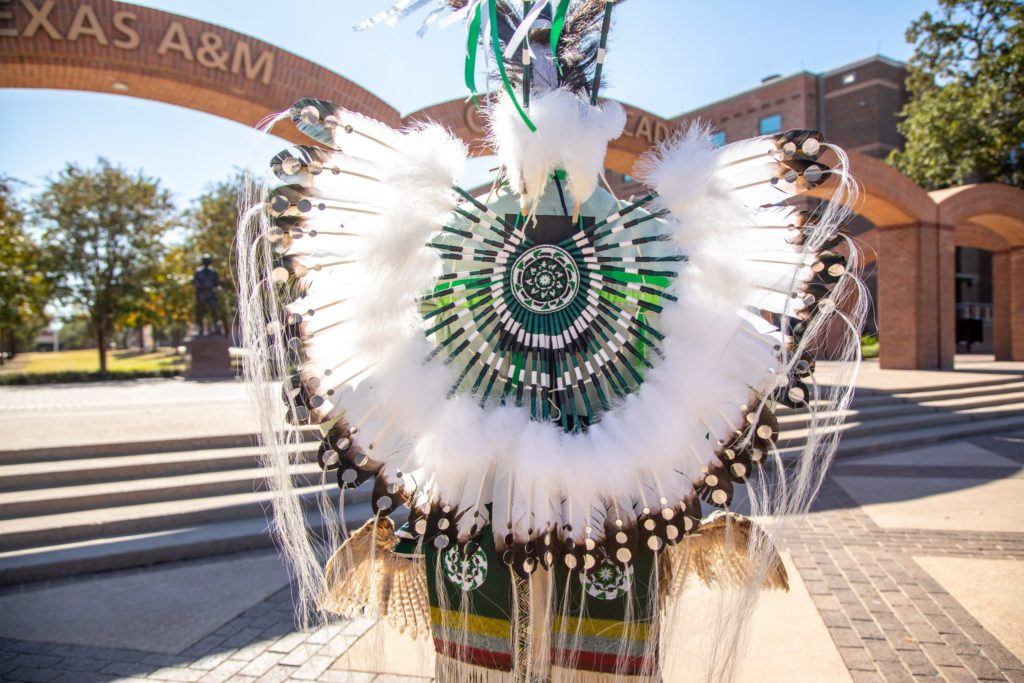 the feathered bustle of Hass's regalia
