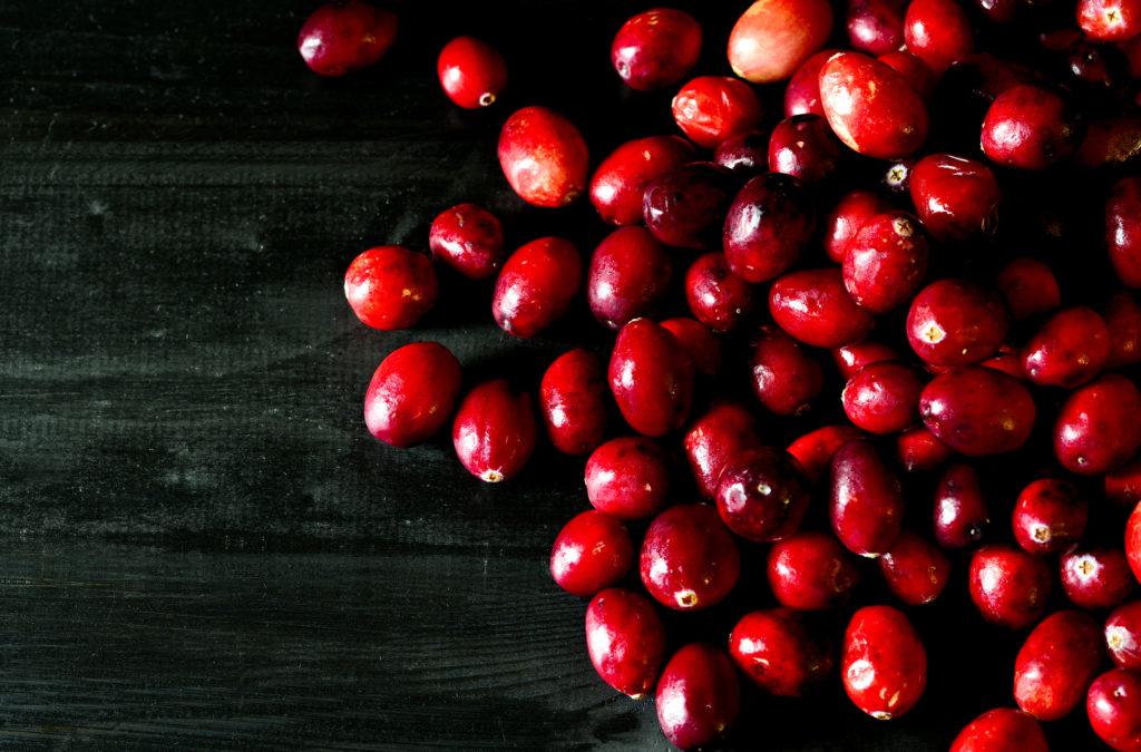 fresh cranberries against dark background