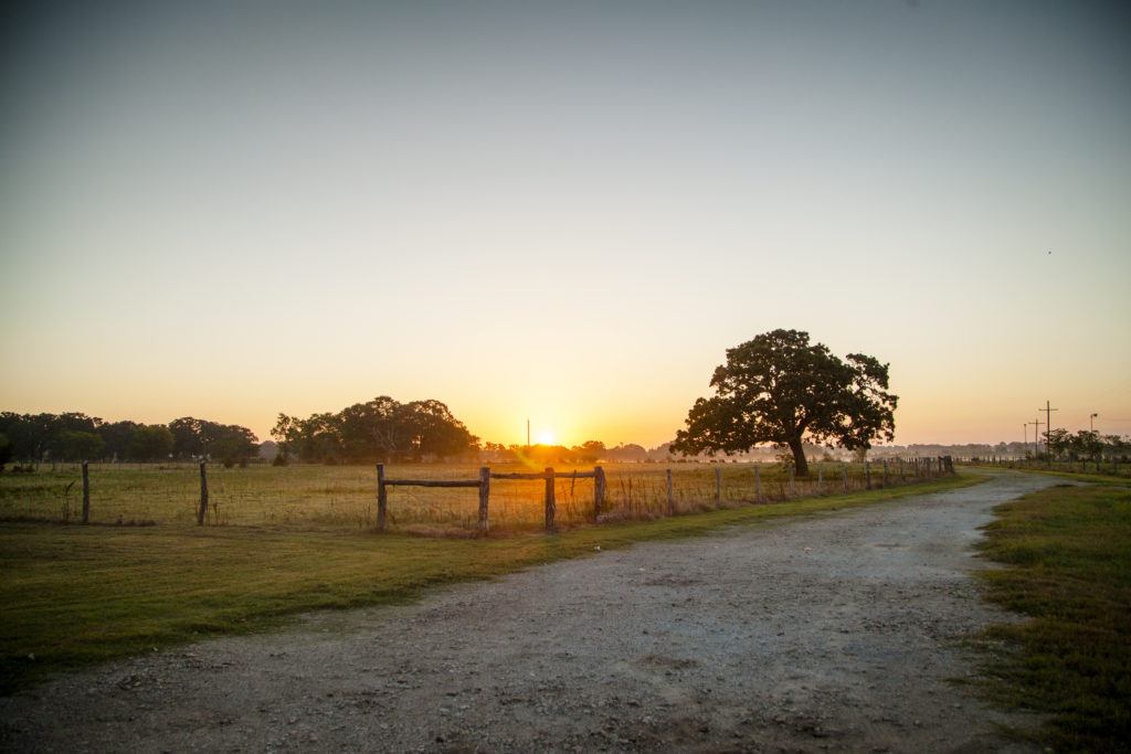 rural texas road at sunrise