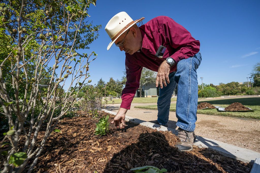 Skip Richter tends to a tree at The Gardens