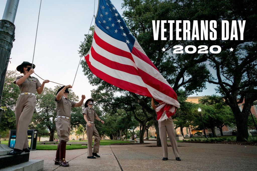 veterans day graphic