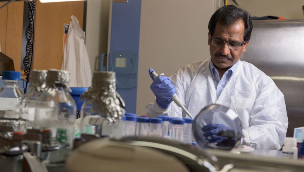 ashok shetty working in lab