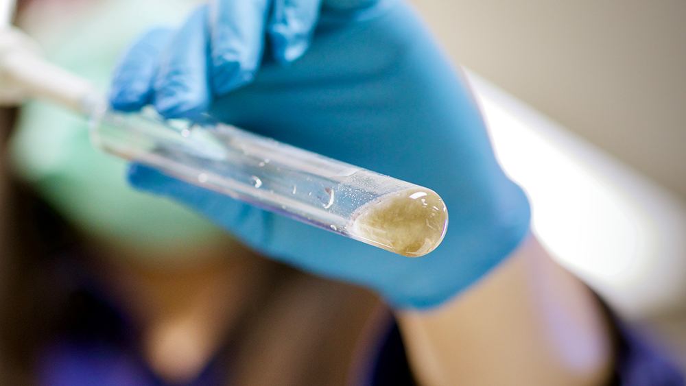 close up of gloved hand holding test tube holding bacteria