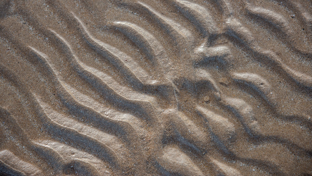 ocean sediment
