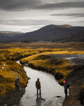 students stand outdoors in peatlands