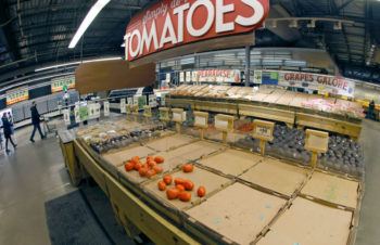 empty produce section in grocery store