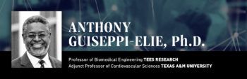 anthonio guiseppi elie graphic