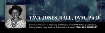 yava jones hall graphic