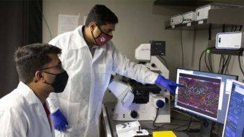 two men in a lab review images of blood cells on a computer