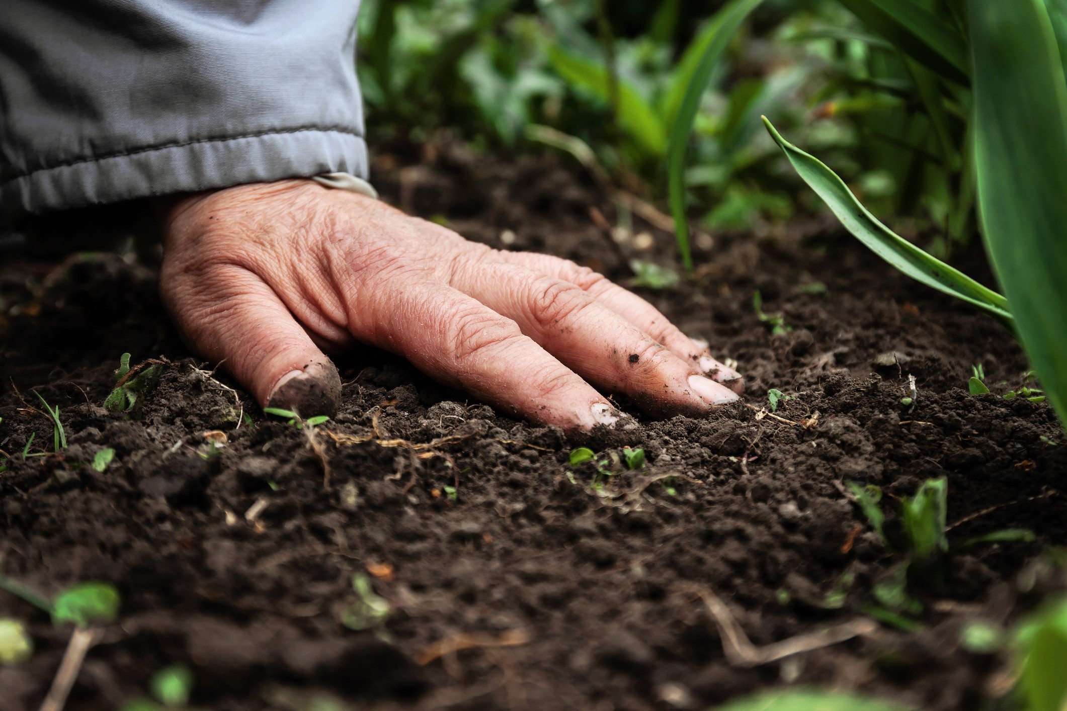 close up of a a woman's hand on soil