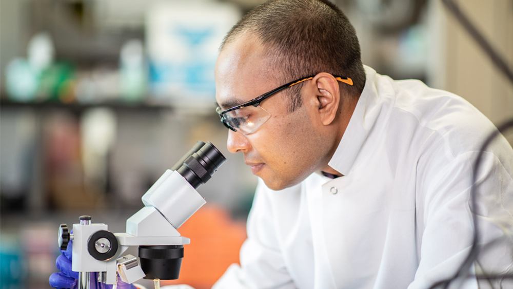 portrait of a researcher in a lab looking into a microscope