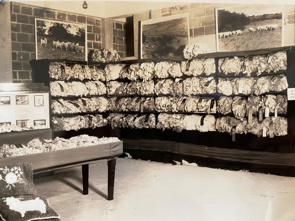 black and white photo of a wool exhibit