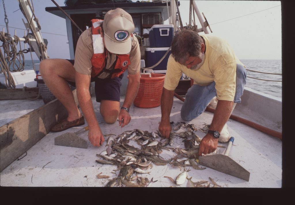 photo of two men o a boat looking at a pile of fish