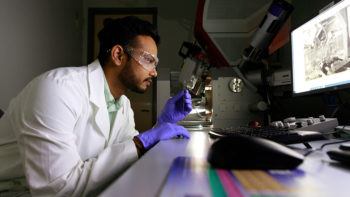 a man seated at a table in a laboratory observing a sample 