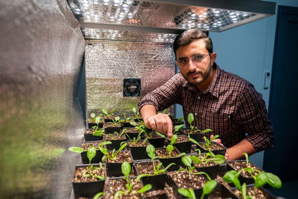 portrait of male researcher in a greenhouse standing near a table filled with potted plants