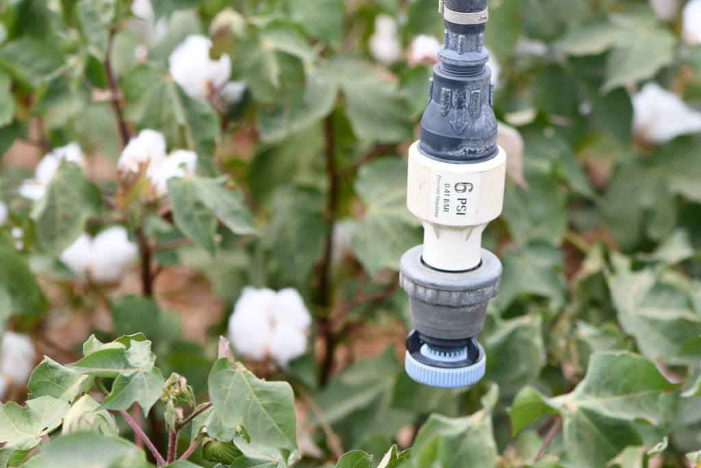 close up image of an irrigation system in a field of cotton