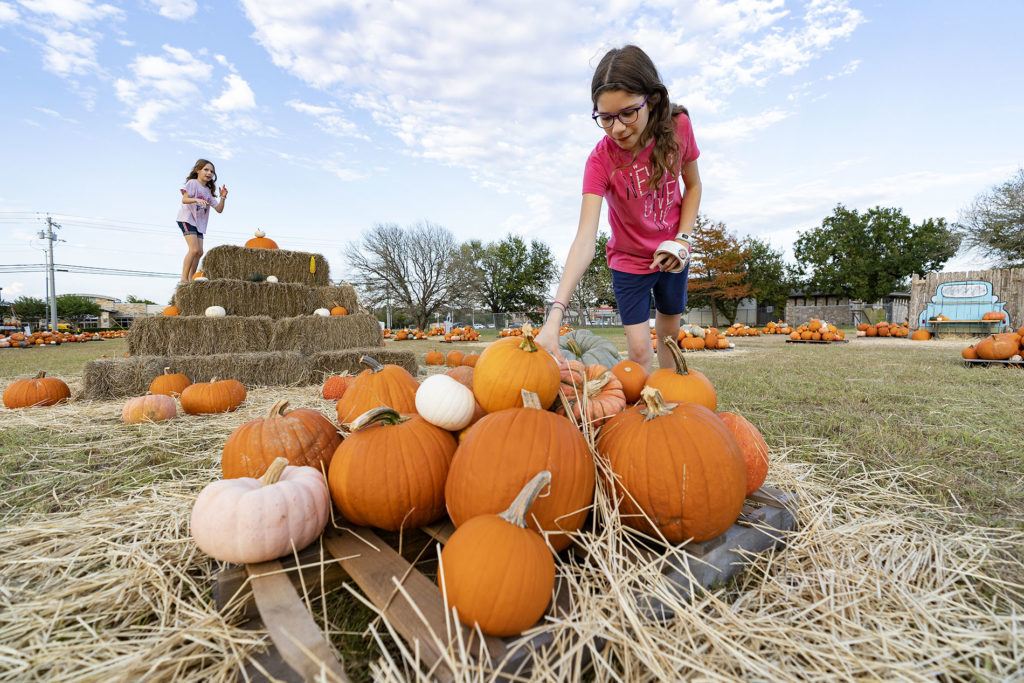 a girl reaches twoard a stack of pumpkins at an outdoor pumpkin patch