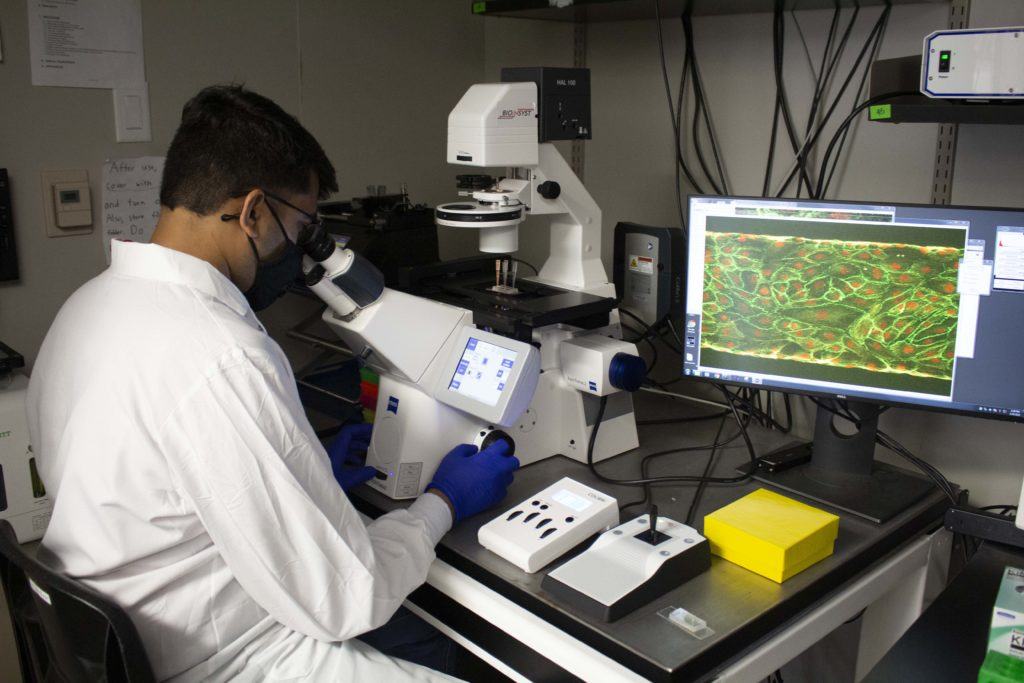 student looking under a microscope