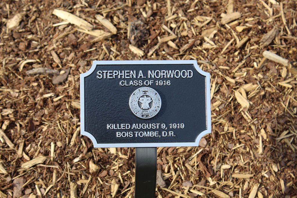 A plaque reading Stephen A. Norwood, Class of 1916, Killed August 9, 1919, Bois Tombe, D.R.