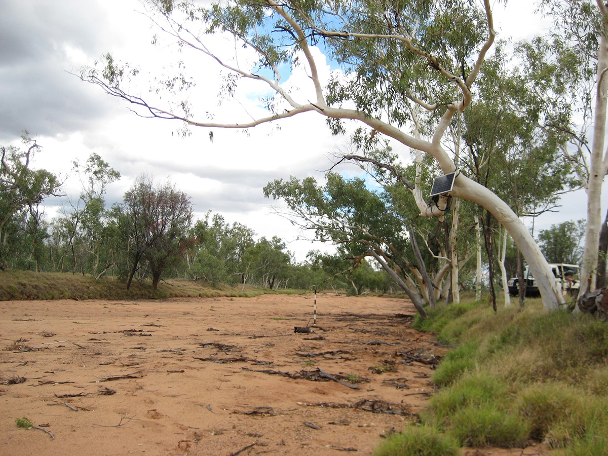 A stream gauge on the Woodforde River, a non-perennial stream in the Ti Tree Basin north of Alice Springs in Australia.