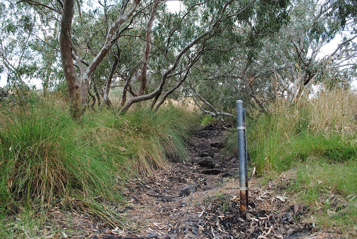 A stream gauge on Kororoit Creek, a non-perennial stream in Victoria, Australia.