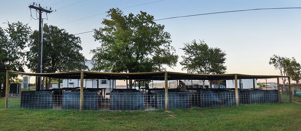 a series of black pens under a wooden awning in a grassy field. a man stands next to one of the pens looking down into it.