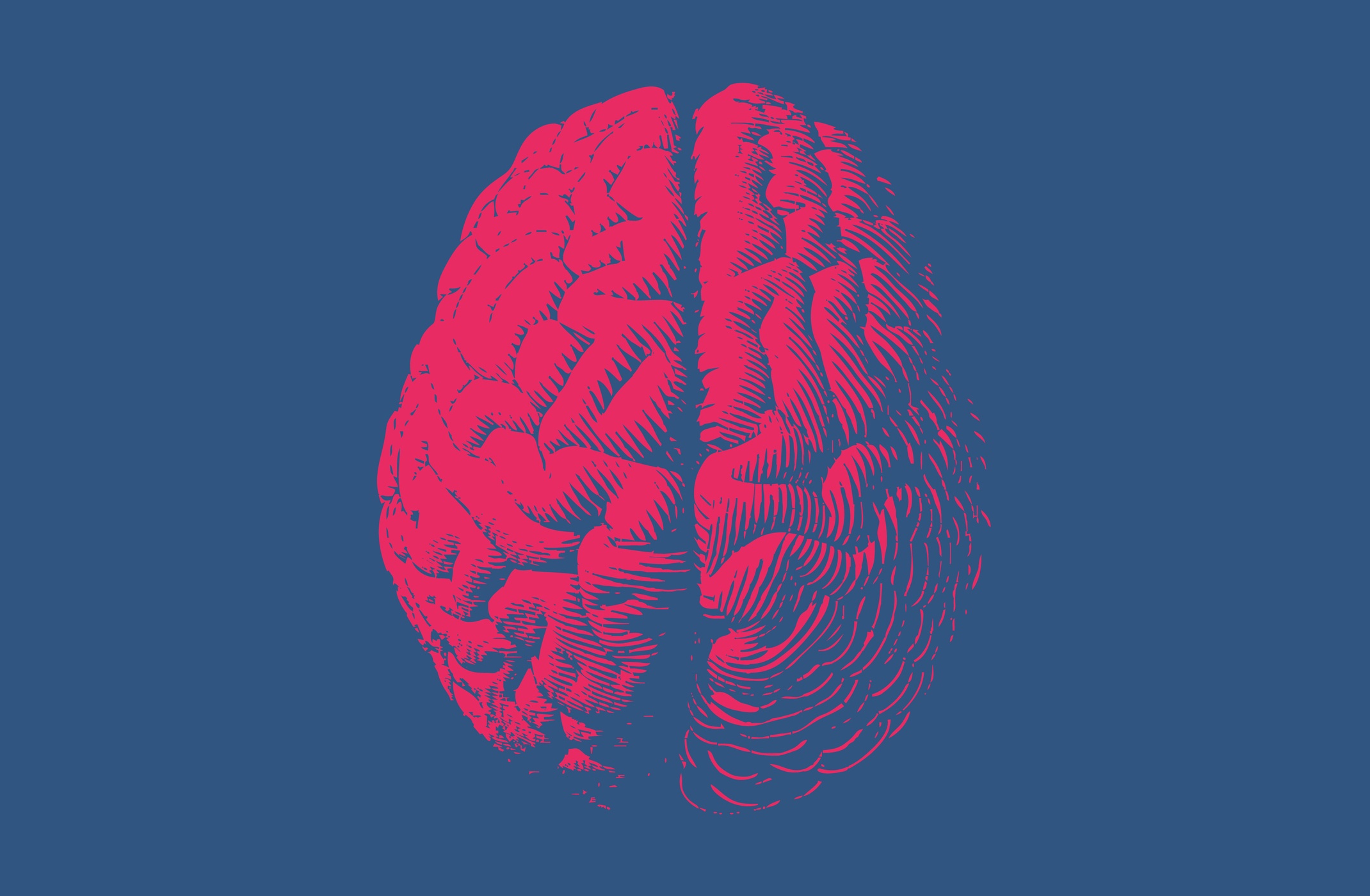 artist's concept of a human brain, with a pink brain against a blue background