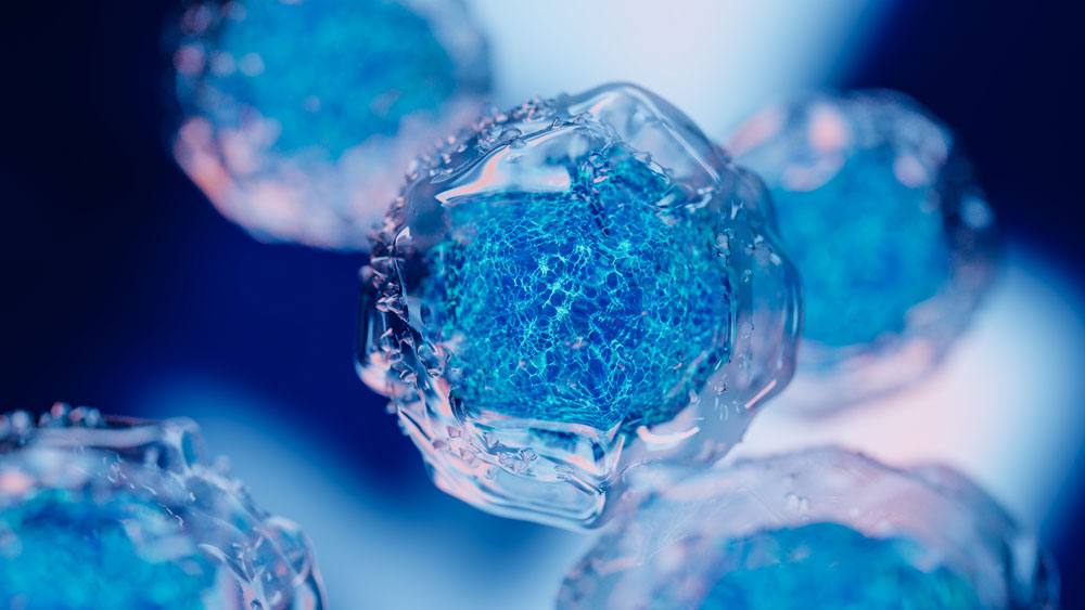 artist's rendering of a cell nucleus