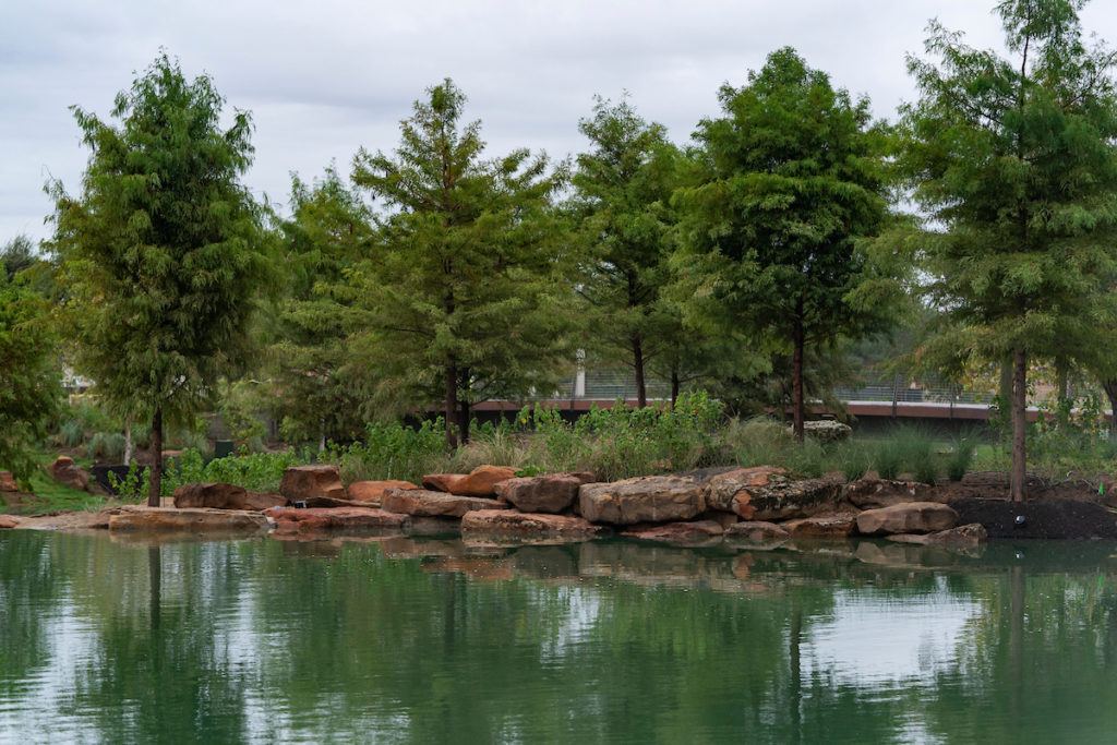 water feature surrounded by trees
