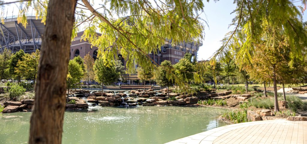 a photo taken from under a cypress tree, looking out over the pond at Aggie Park at the other cypress trees that surround it