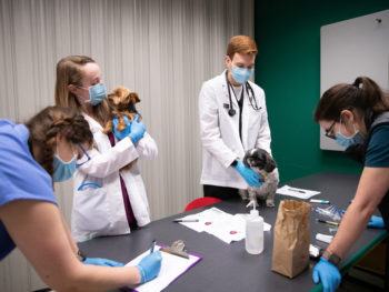 a photo of several young people in scrubs, lab coats and medical masks gathered around a table holding two small dogs