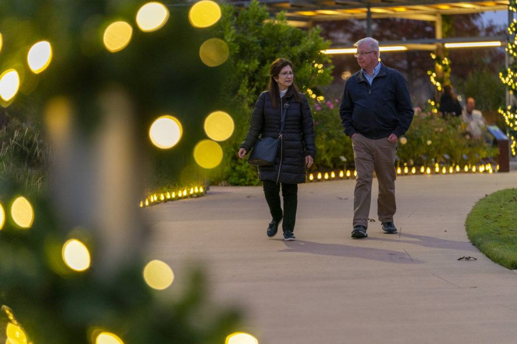a photo of two older people in jackets walking down a path with Christmas lights and vegetation on either side