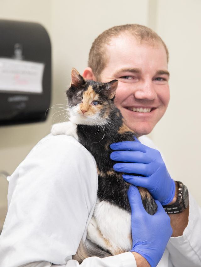 Texas A&M Student Surgical Program Gives Kitten Lifesaving Eye Surgery