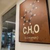 a photo of a brown canvas with a cinnamaldehyde molecule and chemical formula above the word "cinnamon"