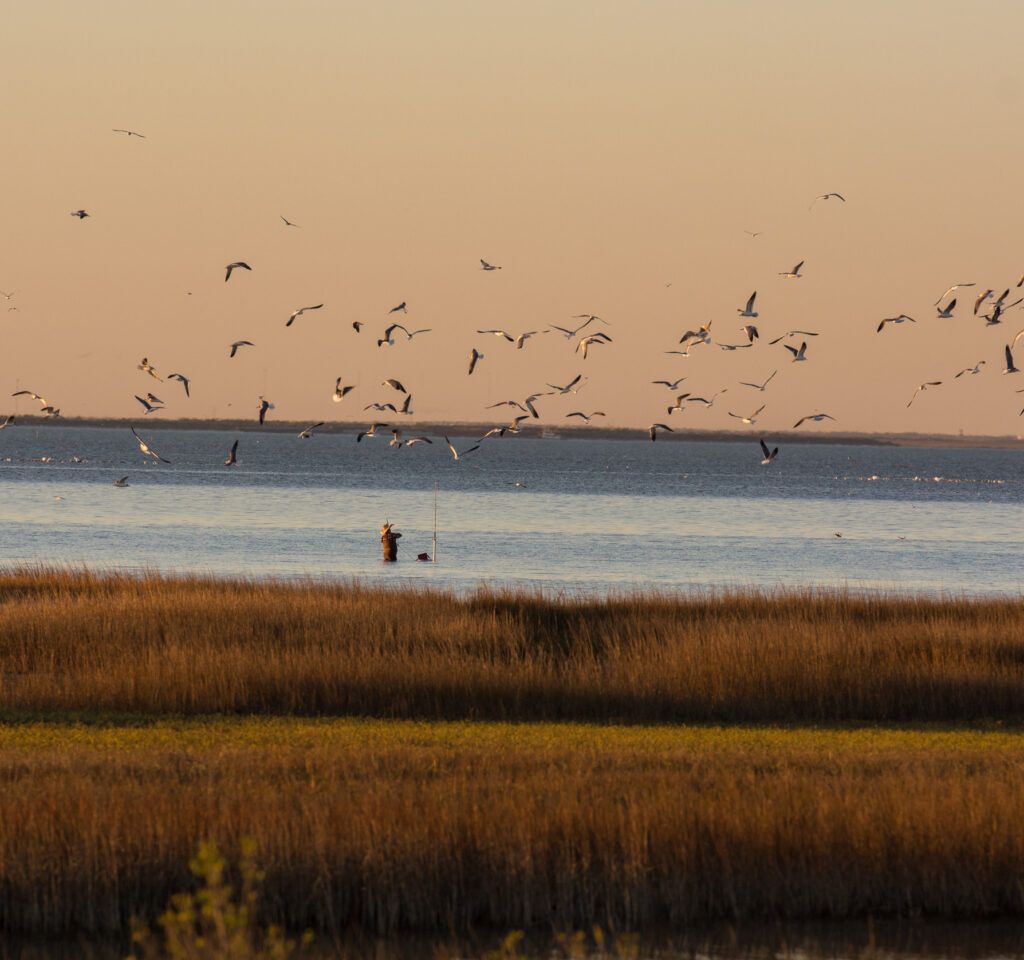 A main waist deep in water fishing at sunset in Galveston Bay.
