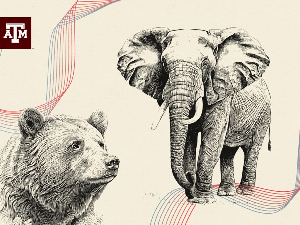 an elephant and a bear