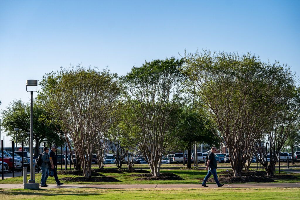 Trees fill a space between buildings and parking lots and the sidewalk where people are walking.
