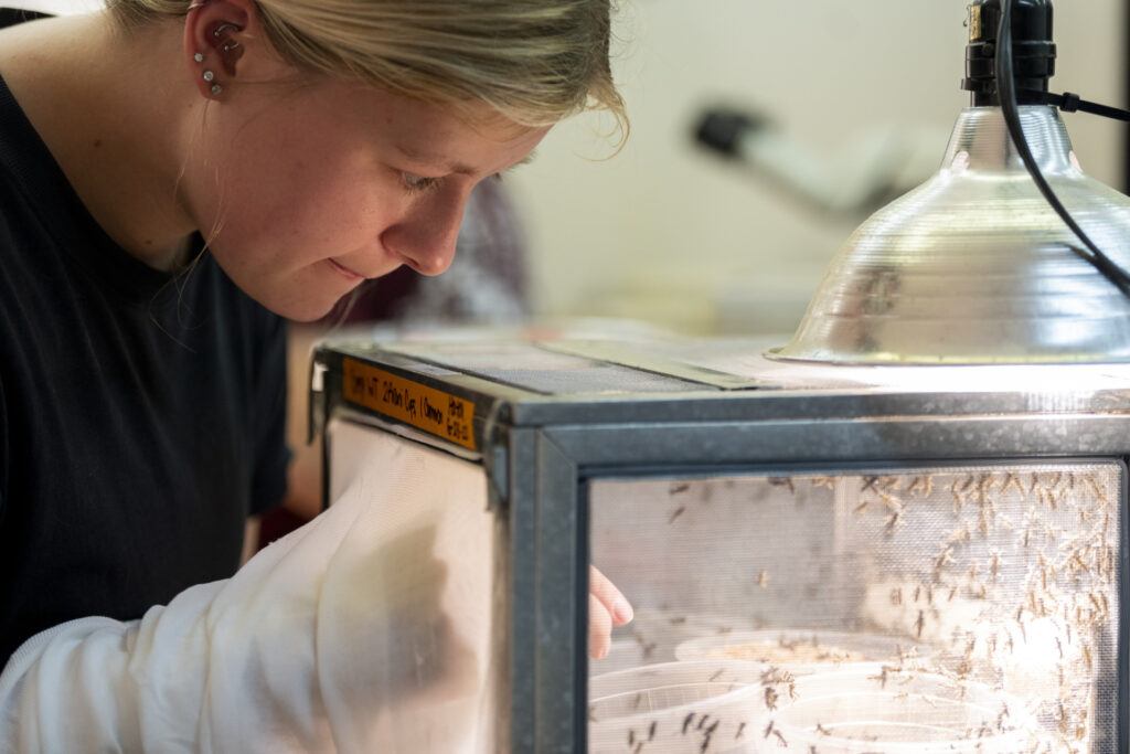 A researcher is examining a container filled with specimens.