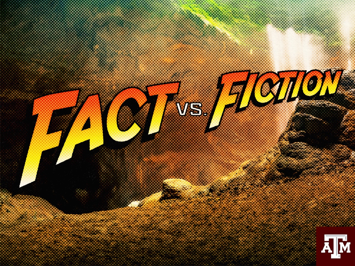 Indiana Jones-style graphic that reads "Fact vs. Fiction"