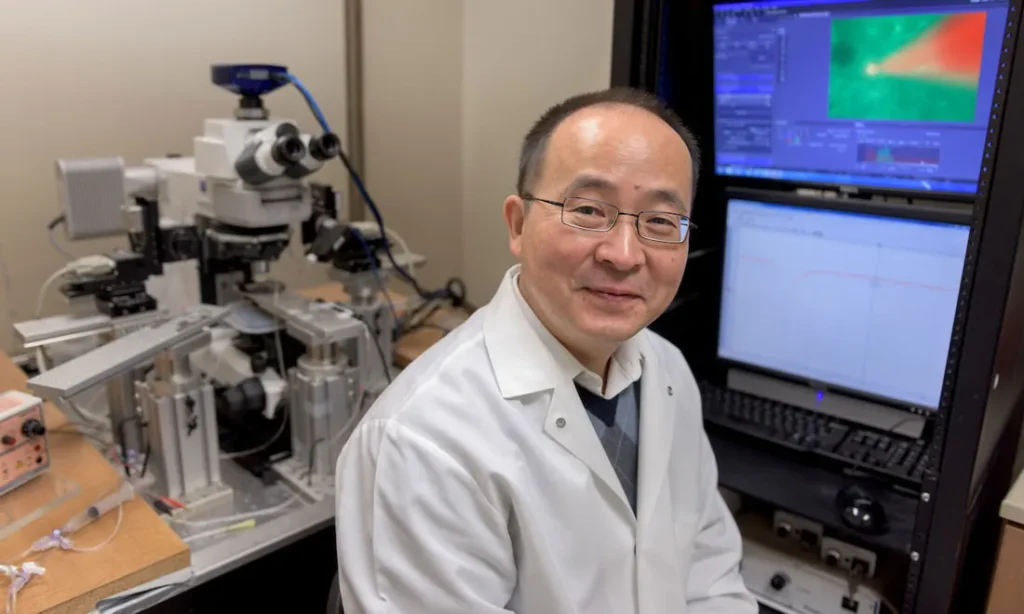 portrait of jun wang