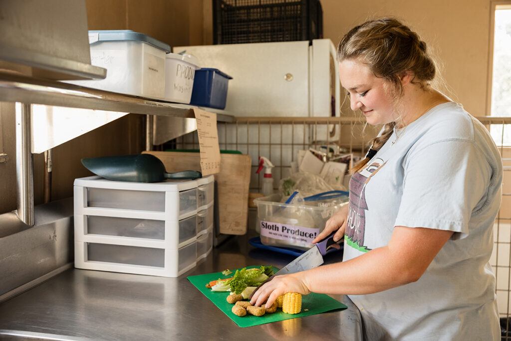 a vet med worker cutting vegetables for the sloth