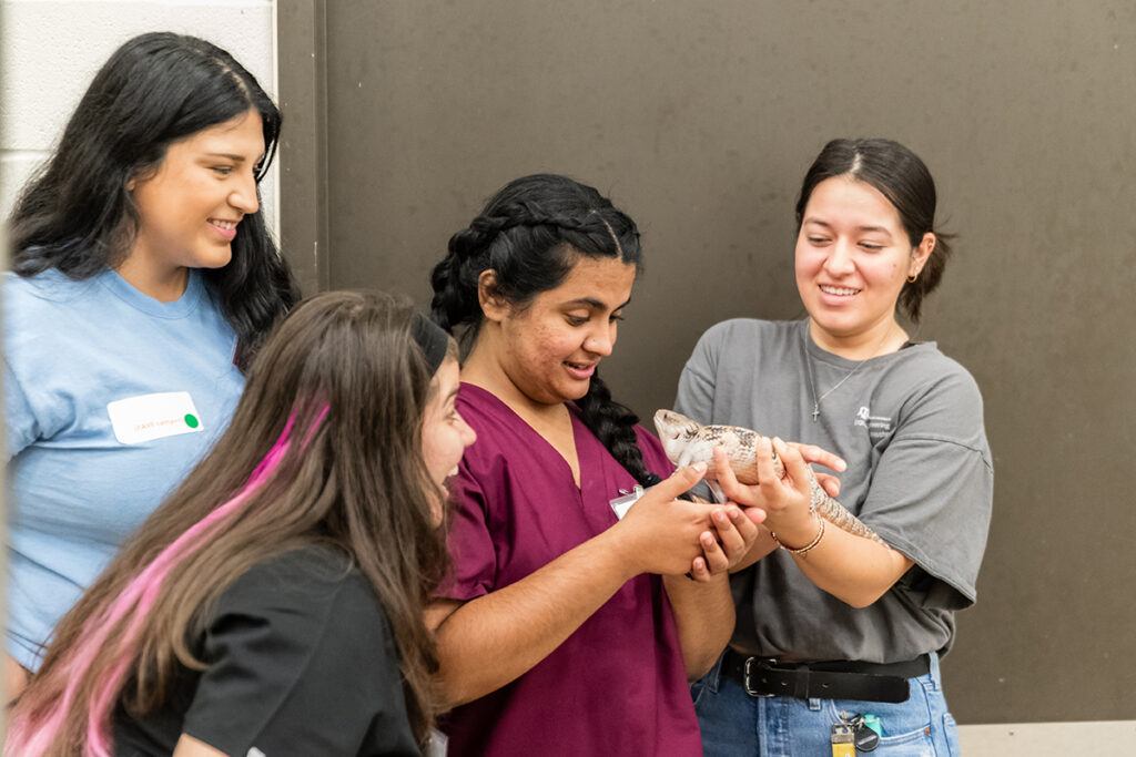 Vet for a Day participants interacted with and learned about a blue-tongued skink – as well as other lizards, snakes, and tortoises – during a reptile lab, which taught young, aspiring veterinarians about exotic animal care.