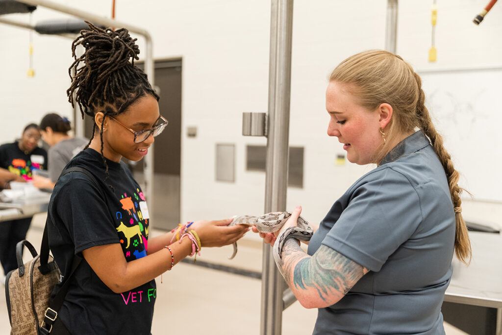 In the reptile lab, Vet for a Day participants got up close and personal with a variety of reptile species, including snakes, lizards, and tortoises.