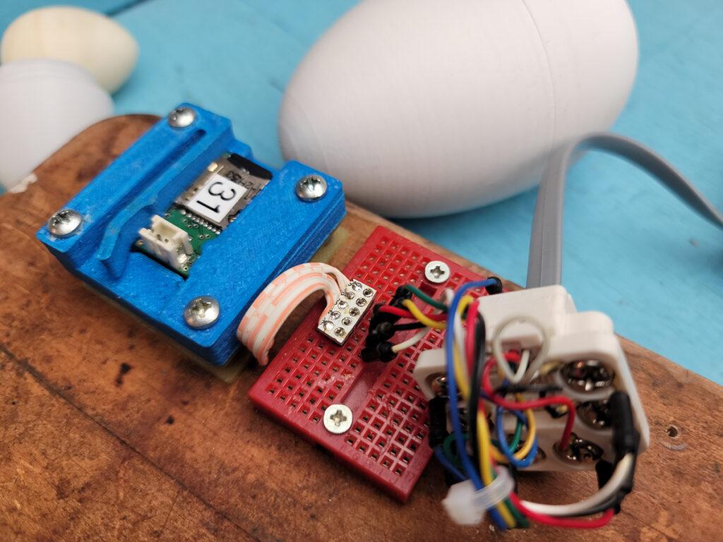 the inner workings of the egg