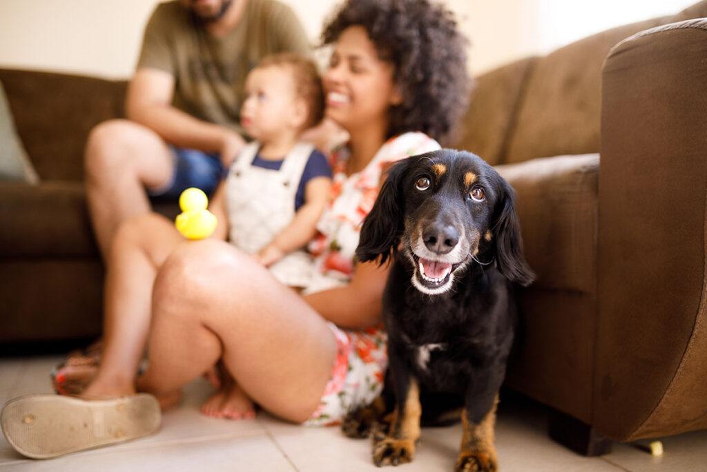 a family with a dog